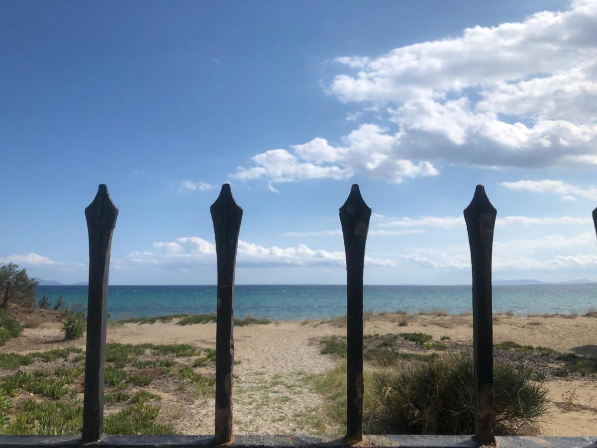 Beachfront Villa Hoopoe Schinias, Marathon Esterno foto